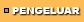 Pengeluar